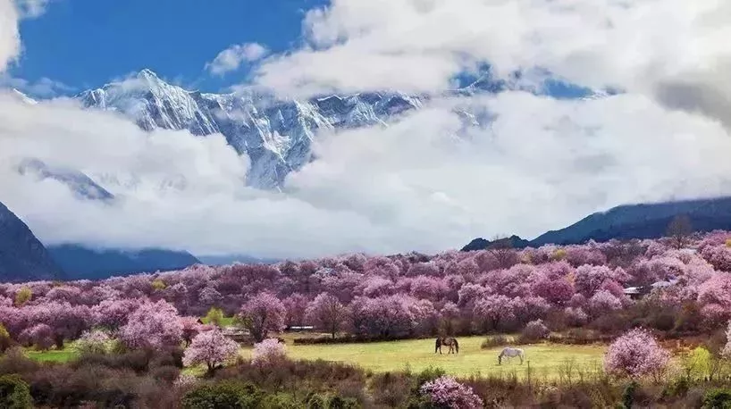 全球旅行计划 3月 去这9个地方看春暖花开 知乎 全球旅行计划 3月 去这9个地方看春暖花开 知乎