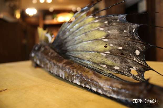 特鳍 这种别名为 八角 的鱼 到底有多香 知乎