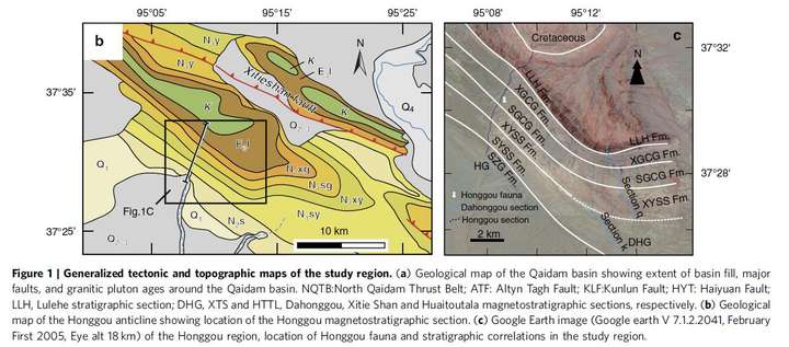 古生物与地层学是偏理论还是实践?