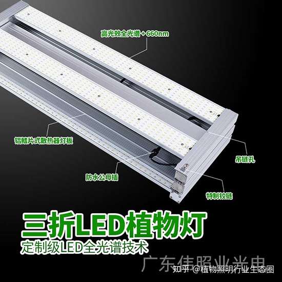 植物补光灯该怎么去控制光照时间与光照距离 知乎