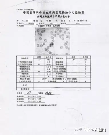 大公鸡报晓