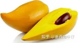 墨西哥水果Zapote Amarillo （中文：蛋黄果） - 墨华网 (图2)