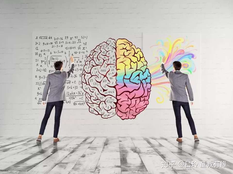 如何辨别真伪全脑 童教hsp全脑师资课堂告诉你答案 知乎