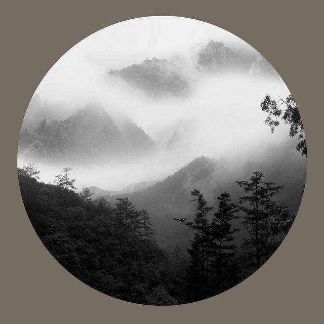 当相机与传统绘画相遇时你的照片会气韵生动且意境悠远