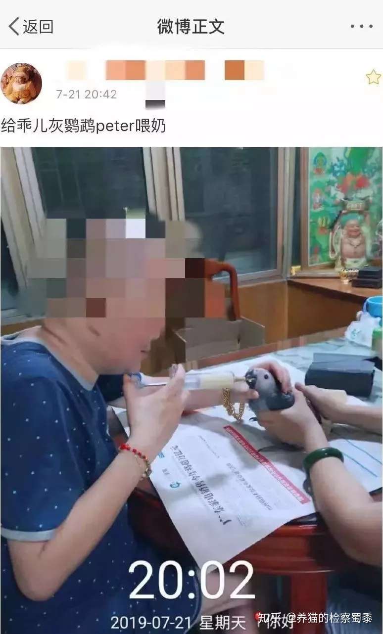 注意了 这些宠物不能随便养 可能违法 知乎