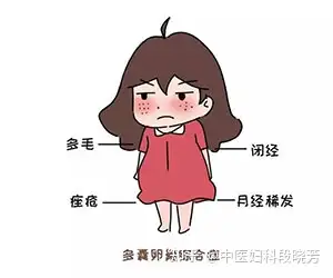 国内做三代试管多少钱（【治疗多囊的小药方】中医专家段晓芳：多囊可调可控可怀孕）