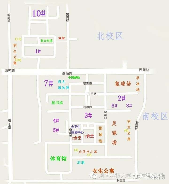 河南科技大学的学家长学姐们,我是2021界新生女,是农业工程类专业