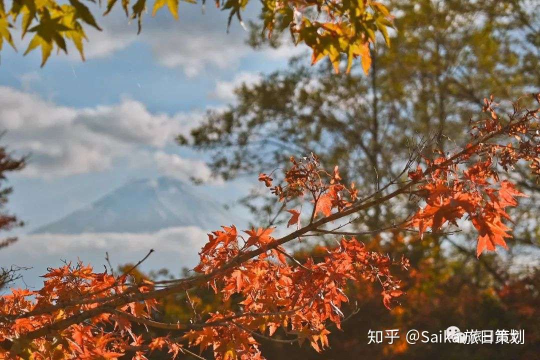 富士山最美拍摄地一日攻略 日本红叶系列二 知乎