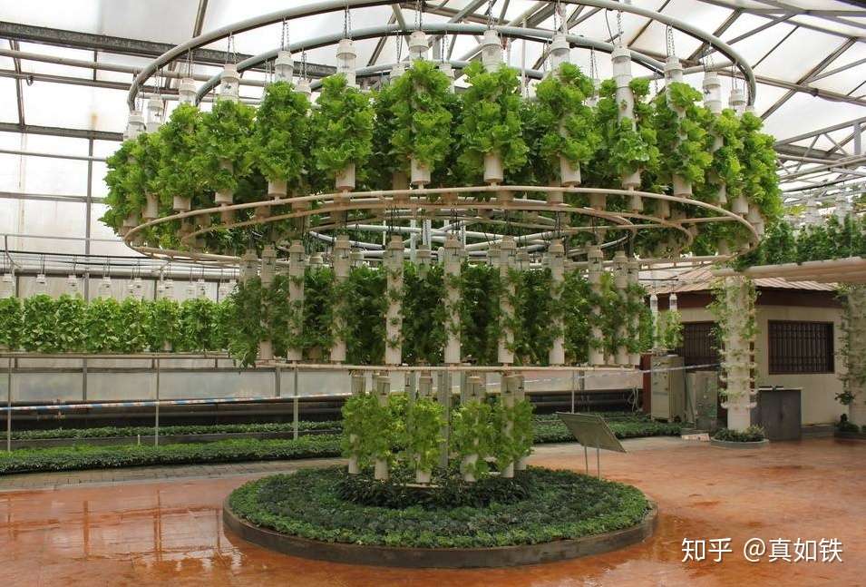 什么是气雾栽培 气雾栽培的优缺点 知乎