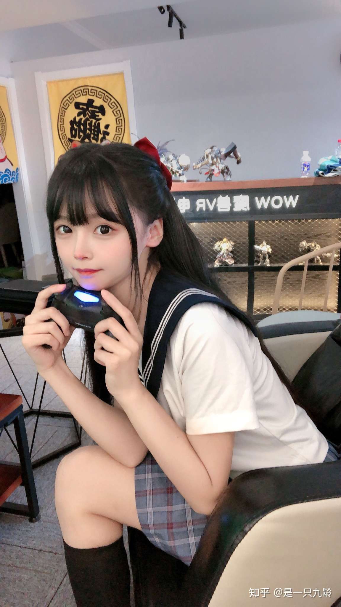 是一只九龄