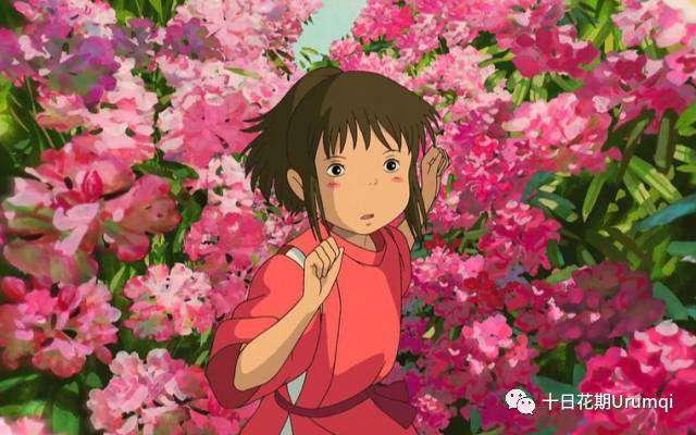 宫崎骏电影 千与千寻 中你绝对没注意到的那些花儿 知乎