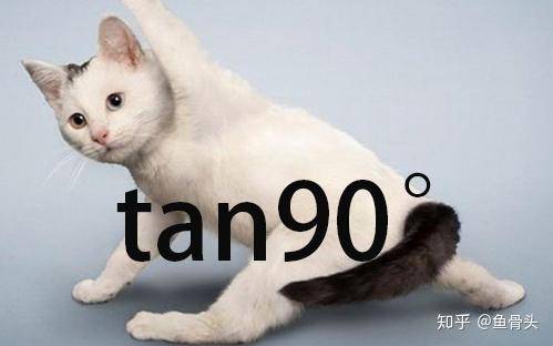 求一张猫咪tan90表情包?