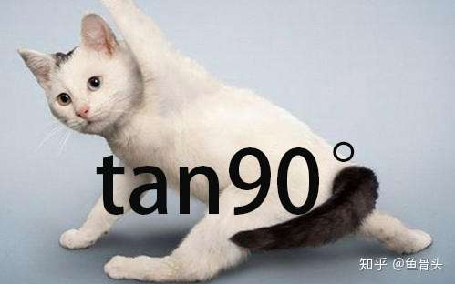 求一张猫咪tan90表情包