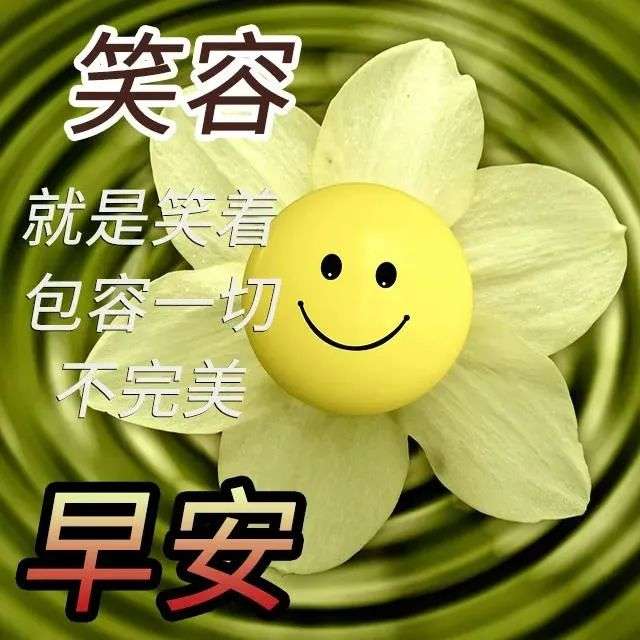 早上好发朋友的早安问候祝福语图片表情包 饱满热烈的早上好祝福语短信句子 知乎