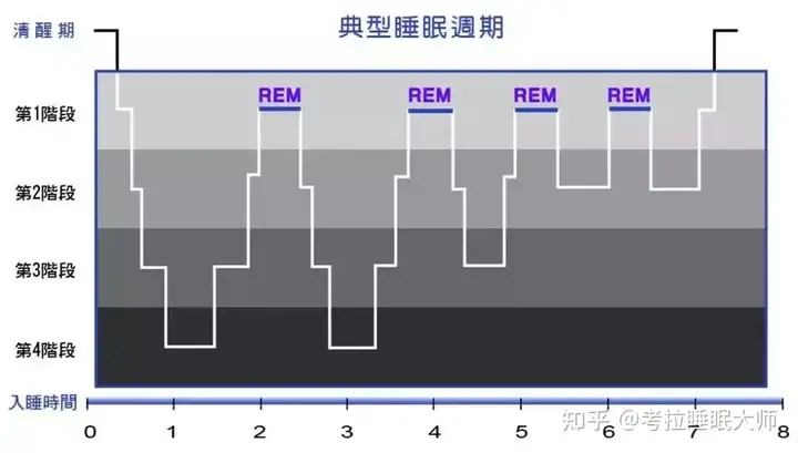 8小时睡眠，为什么就是错的呢？（八小时以上睡眠多久）