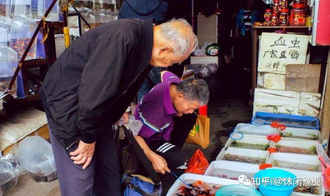 说再见!u201c鱼友的圣地u201d,花地湾市场拆迁- 知乎