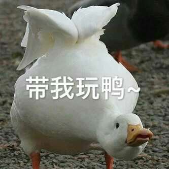 红糖小糍粑 的想法: #表情包博主# #糍粑不包邮# 07 鸭子系列