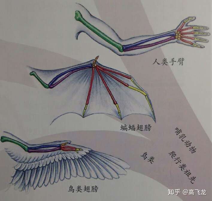 高飞的每日一想