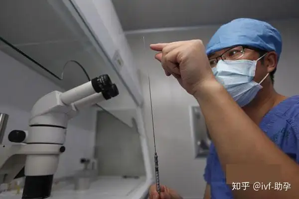 成都供卵需要多少钱（一看就会）