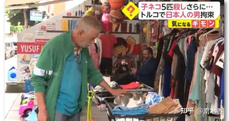 日本男子在土耳其杀猫吃被逮捕 称这是日本习俗 结果日网民炸了 知乎