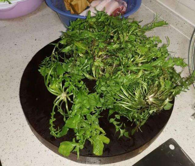 哪些蔬菜比牛奶还补钙(比牛奶更补钙的食物)插图(4) 哪些蔬菜比牛奶还补钙(比牛奶更补钙的食物)插图(4)