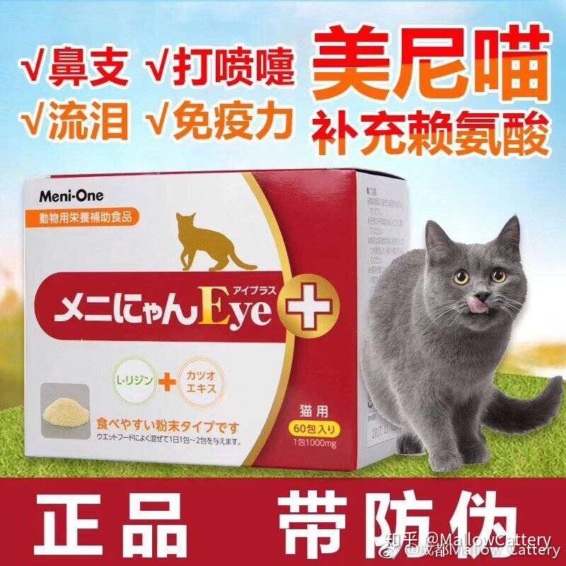 猫猫感冒和猫鼻支的区别 以及一些建议和用药 知乎