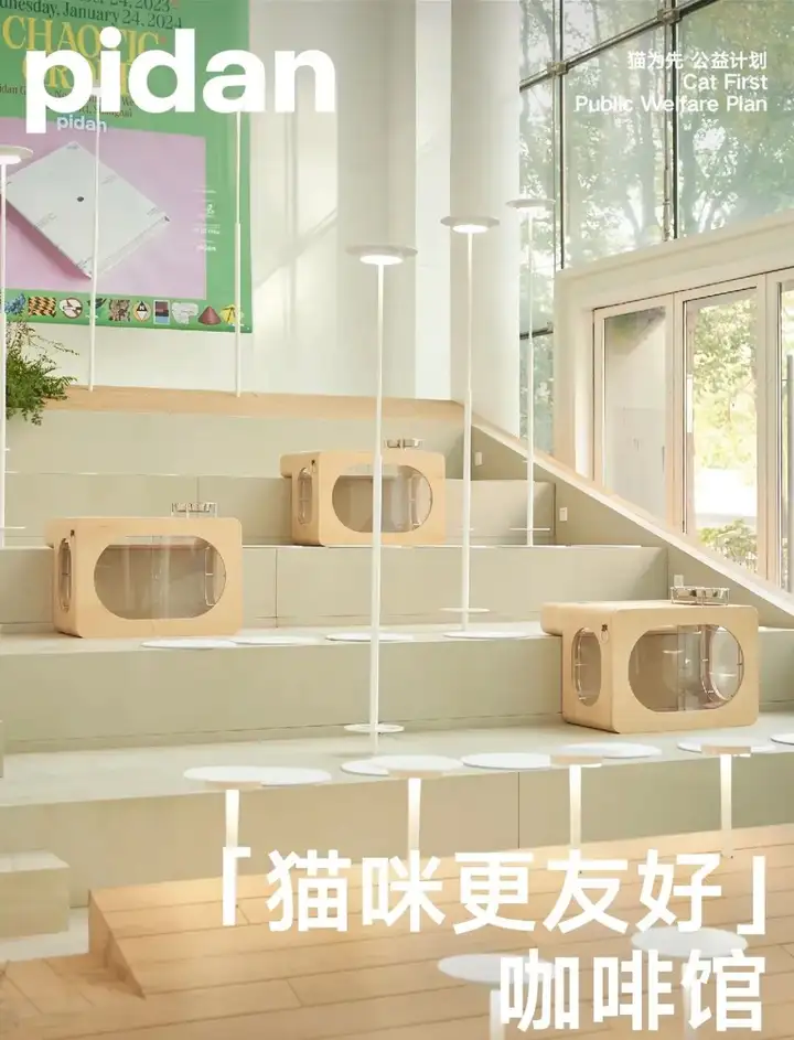 pidan品牌的兴起与未来展望