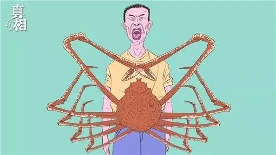 日本 杀人蟹 袭击渔民60人死亡 最大甲壳美味如何被造谣成恐怖生物 知乎