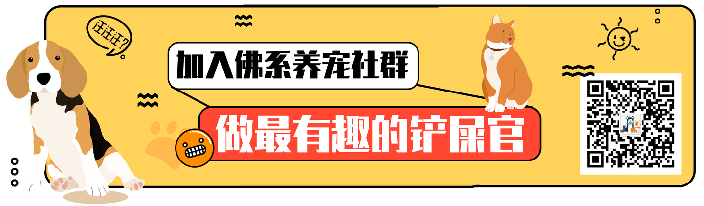 猫咪特发性膀胱炎的诊断及治疗- 知乎