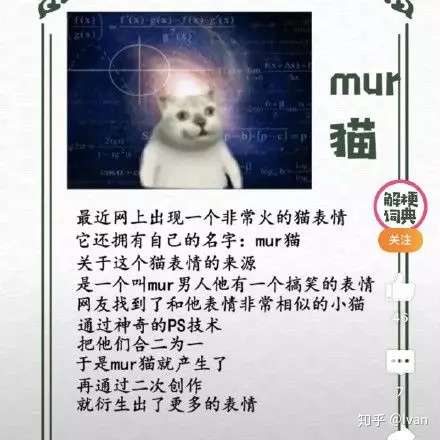 又双叒叕涨芝士 放飞自我mur猫 竟发源于 知乎