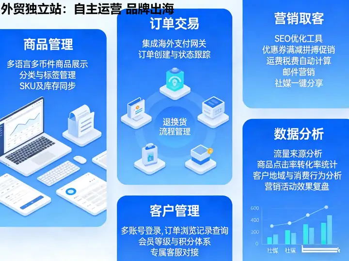 网站开发