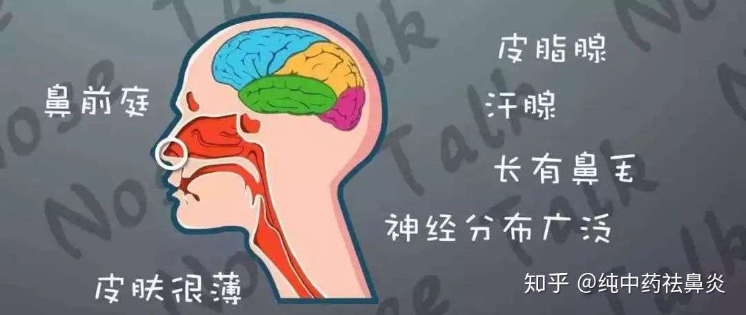 慢性肥厚性鼻炎的7宗罪 你知道吗 知乎