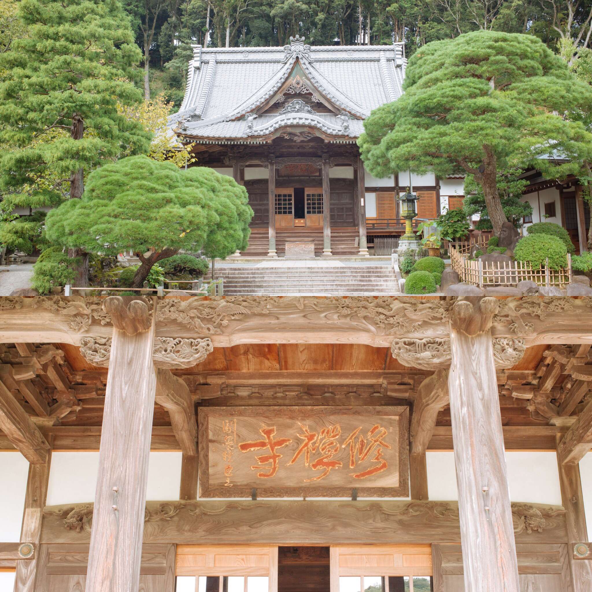 比利白 的想法: 伊豆半岛的修善寺得名于桂川畔的修禅寺,… - 知乎