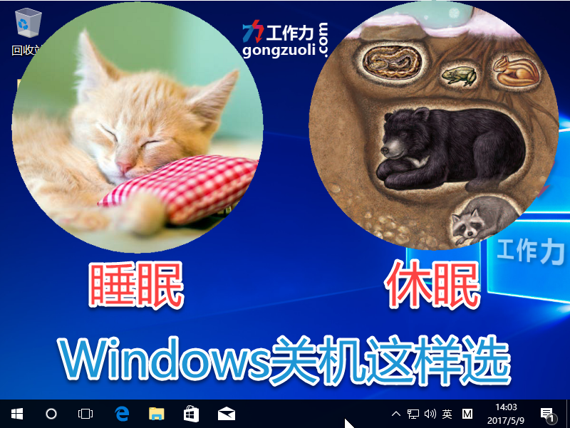 休眠还是睡眠 Windows关机这样选 知乎