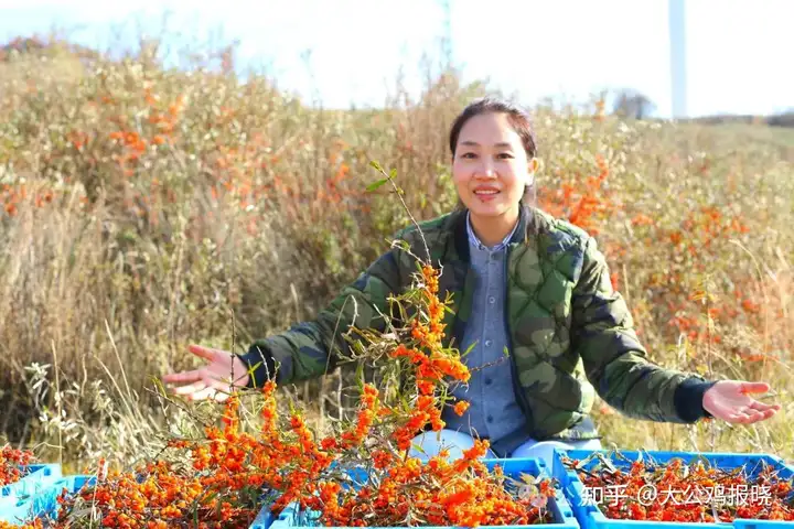 传承中医文化