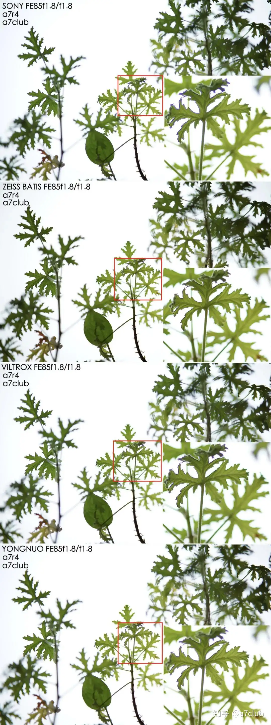 a7club兵器谱之各品牌fe85mmf1.8系列大混斗-索尼/蔡司/唯卓仕/永诺