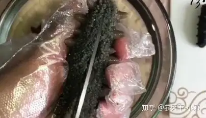 海參泡發