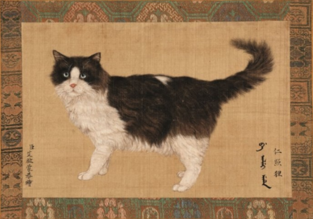 中国人就是有文化来看看古代人给猫取的名字哪个不比花花强