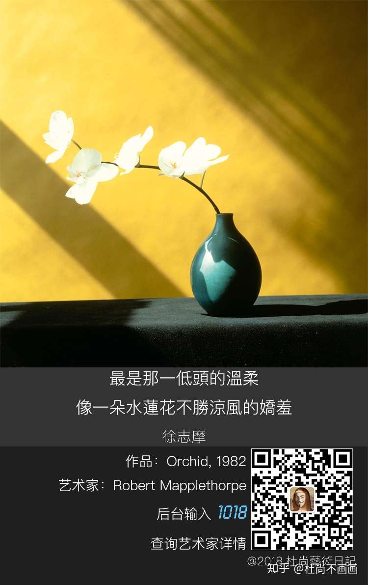 拍出花的情欲 他是第一人 知乎