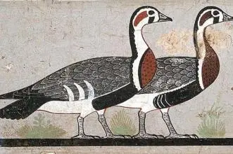 群雁图古埃及图片