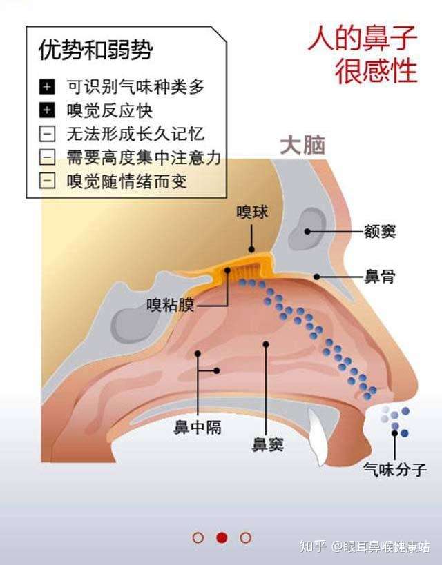 首大盛发军 关于慢性鼻窦炎 有的可能你还不知道 知乎