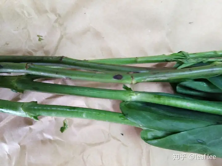 自己买花自己戴、昂首走进新时代—门客生活收花日记第十二周插图4