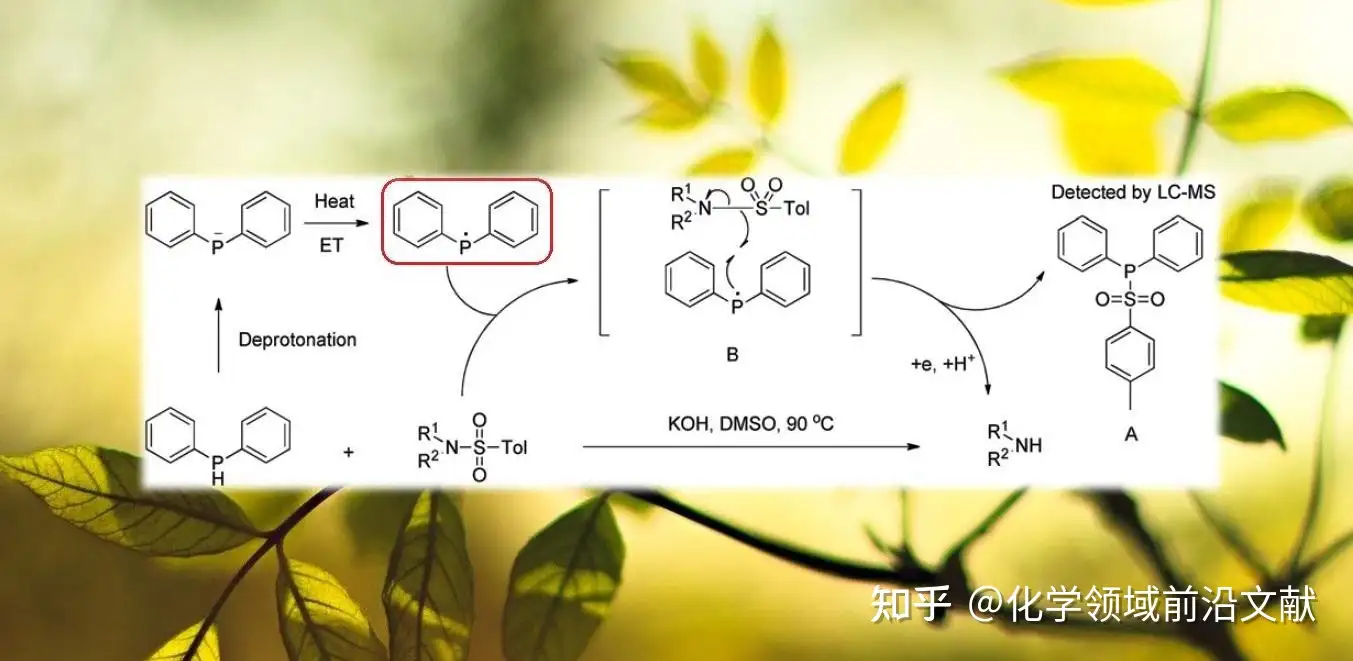 南开大学杨光课题组：二苯基膦促进脱除胺类磺酰保护基- 知乎