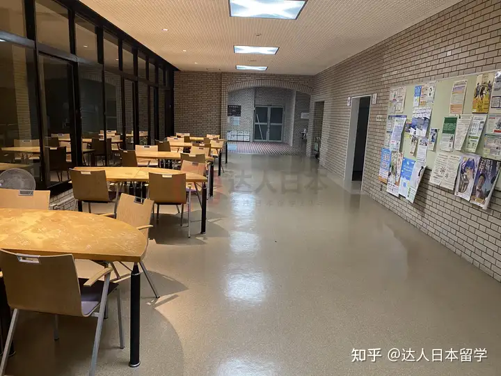 达人日本,日本留学