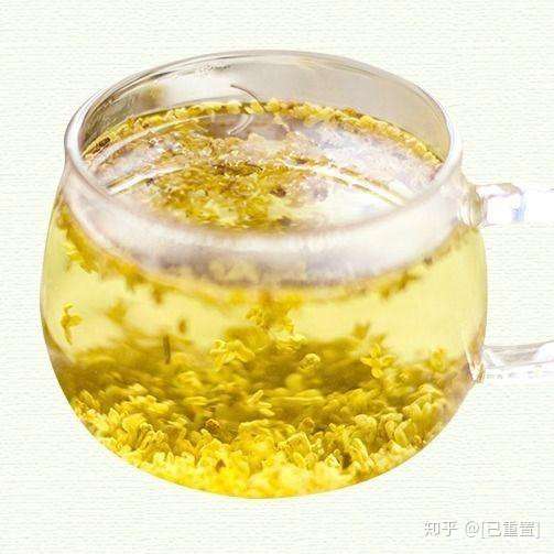 桂花茶有通气和养胃的作用 很适合胃功能虚弱的人群饮用 知乎