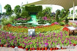 景观人植物理论系列 花坛配置 知乎