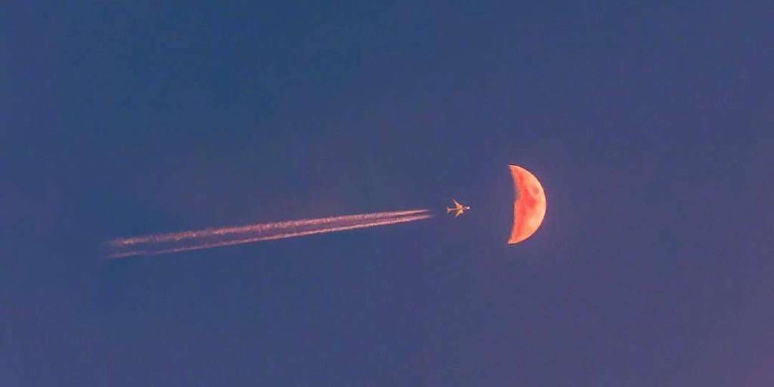 charon憨憨恐惧症