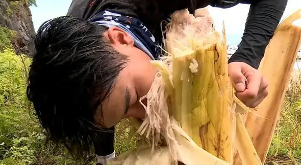 国内首档野外生存真人秀我们的法则乱封神观众范尴尬