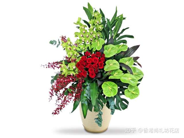 用鲜花来迎接新年 知乎