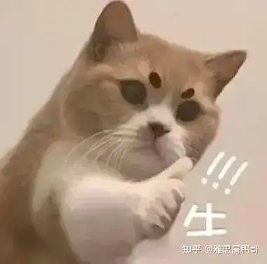 240页！2500+雅思听力超核心考点词（pdf+音频）